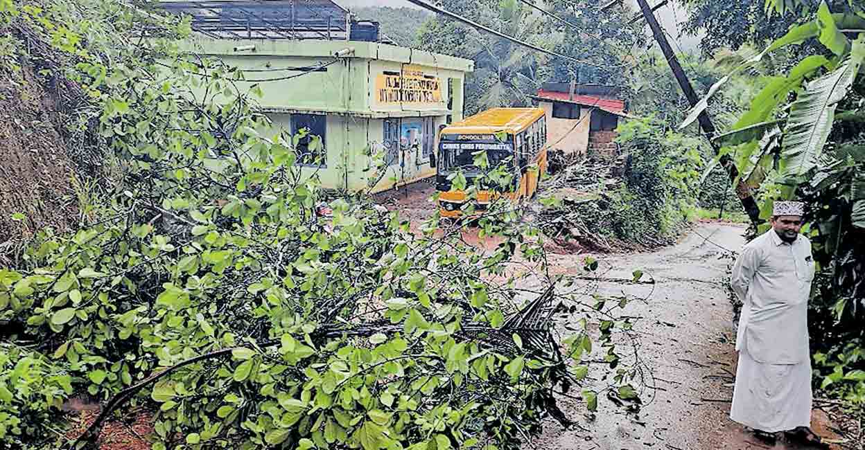 കാറ്റിലും മഴയിലും കനത്ത നാശം Kasargod rain update Kasargod weather