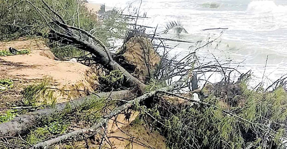 വലിയപറമ്പിലെ മാവിലാക്കടപ്പുറം ഒരിയരയിൽ കടലേറ്റത്തിൽ മരങ്ങൾ കടപുഴകിയപ്പോൾ.