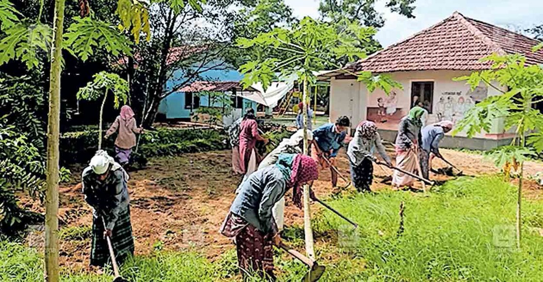 ഉദിനൂർ സെൻട്രൽ എയുപി സ്കൂളിൽ വിഷരഹിത പച്ചക്കറിത്തോട്ടമൊരുക്കാൻ തൊഴിലുറപ്പ് തൊഴിലാളികൾ നിലം ഒരുക്കുന്നു.  