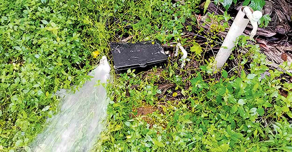 kasargod-pipe-burst കോലുങ്കാലിൽ ജലജീവൻ പദ്ധതിയുടെ പൈപ്പ് പൊട്ടി വെള്ളം റോഡിലേക്ക് ഒഴുകുന്ന നിലയിൽ.