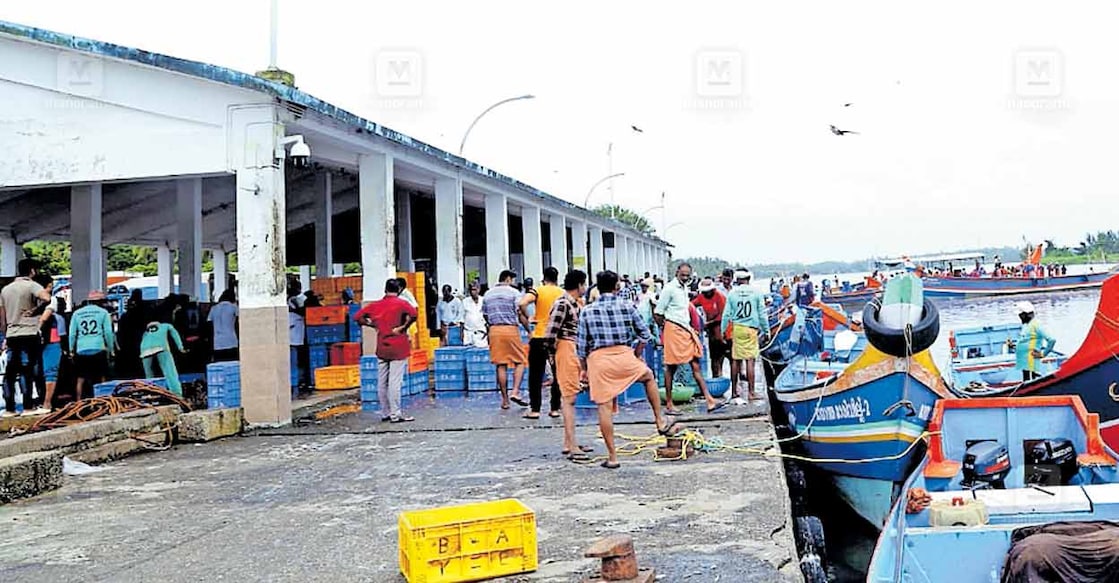 മടക്കര മീൻപിടിത്ത തുറമുഖത്ത് ചെമ്മീനുമായി എത്തിയ വള്ളങ്ങൾ.  