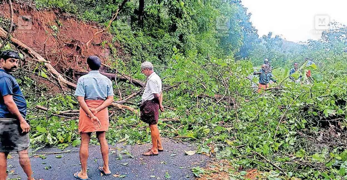 
ഭീമനടി ചിറ്റാരിക്കാൽ മരാമത്ത്റോഡിലെ ആനവളവിൽ മരം പൊട്ടിവീണ് ഗതാഗതം തടസ്സപ്പെട്ടപ്പോൾ.  
