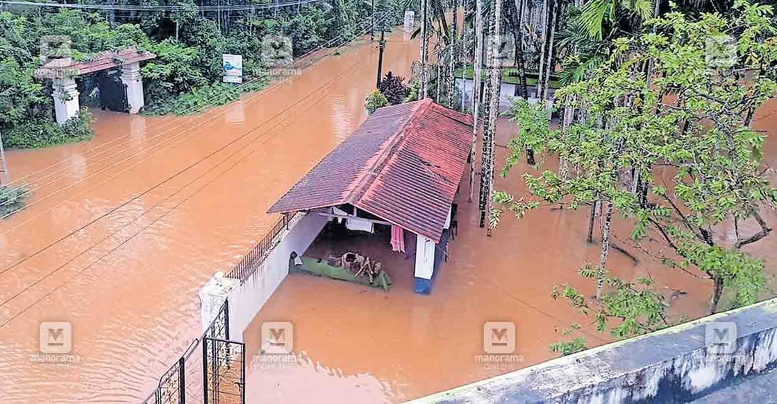 കനത്ത മഴയിൽ തോട് കരകവിഞ്ഞതിനെത്തുടർന്ന് ചുള്ളിക്കര–കുറ്റിക്കോൽ  റോഡിൽ കൊട്ടോടിയില്‍ വെള്ളം കയറിയ നിലയിൽ. 
