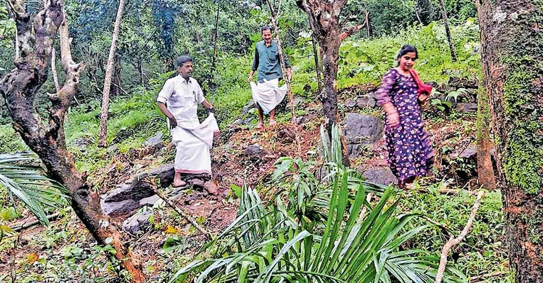തയ്യേനി കൂട്ടക്കുഴിയിലും പരിസരങ്ങളിലും കാട്ടാനകൾ നശിപ്പിച്ച കൃഷിയിടങ്ങൾ ഈസ്റ്റ് എളേരി പഞ്ചായത്ത് പ്രസിഡന്റ് ജോസഫ് മുത്തോലിയുടെ നേതൃത്വത്തിൽ ജനപ്രതിനിധികൾ സന്ദർശിക്കുന്നു.   
		