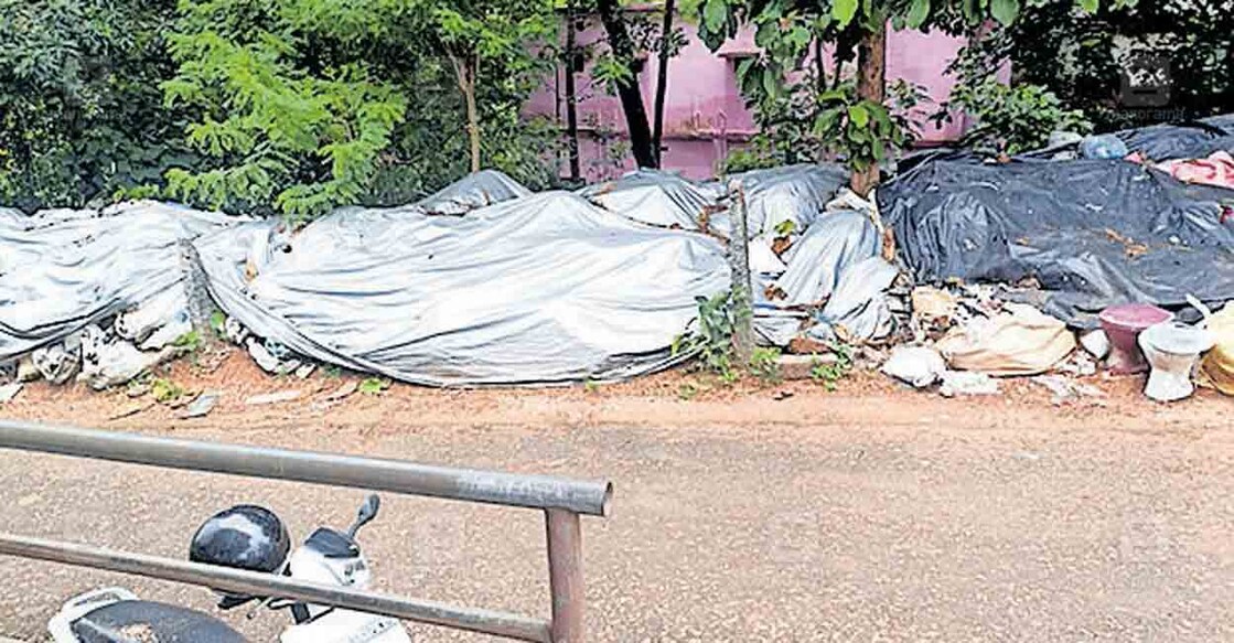 കാസർകോട് നഗരസഭ ഓഫിസ് പരിസരത്ത് ചാക്കിലാക്കി കെട്ടിവച്ച മാലിന്യങ്ങൾ 6 മാസത്തിലേറെയായി നീക്കം ചെയ്യാത്ത നിലയിൽ.