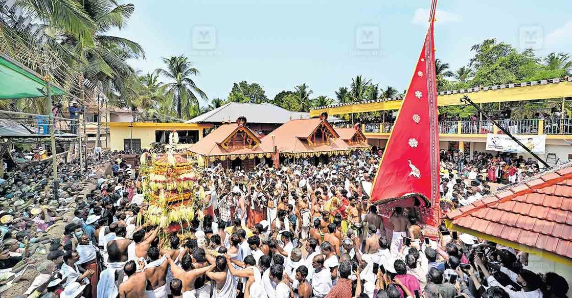 നീലേശ്വരം കേണമംഗലം കഴകം പെരുങ്കളിയാട്ടത്തിന്റെ സമാപനദിവസം അരങ്ങിലെത്തിയ കേണമംഗലത്ത് ഭഗവതി കലാശമെഴുന്നള്ളിപ്പിൽ മംഗലക്കുഞ്ഞുങ്ങളോടൊപ്പം ക്ഷേത്രംപ്രദക്ഷിണം ചെയ്യുന്നു. ചിത്രം: അഭിജിത്ത് രവി /മനോരമ 