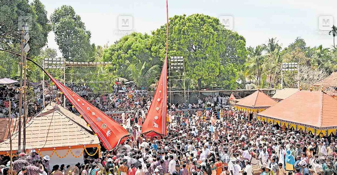 തൃക്കരിപ്പൂർ രാമവില്യം കഴകം പെരുങ്കളിയാട്ടത്തിന്റെ സമാപന ദിവസം പടയ്ക്കെത്തിയ ഭഗവതിയുടെയും ആര്യക്കര ഭഗവതിയുടെയും തിരുമുടി ഉയർന്നപ്പോൾ. ചിത്രം: അഭിജിത്ത് രവി / മനോരമ  