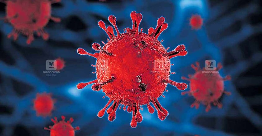 India reports lowest daily Covid-19 cases at 19,556 since July