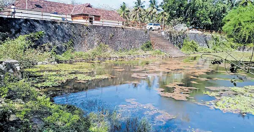 കുളത്തൂപ്പുഴ കടമാൻകോട് ക്ഷേത്രക്കുളം കളകളും പായലും അടിഞ്ഞ നിലയിൽ. കുളത്തൂപ്പുഴ കടമാൻകോട് ക്ഷേത്രക്കുളം കളകളും പായലും അടിഞ്ഞ നിലയിൽ.