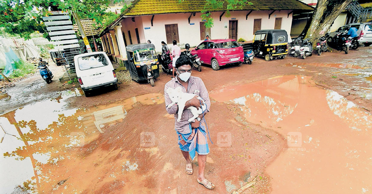 പരുക്കേൽക്കുന്ന മൃഗങ്ങൾക്ക് സർക്കാർ ഷെൽറ്റർ സൗകര്യമില്ല