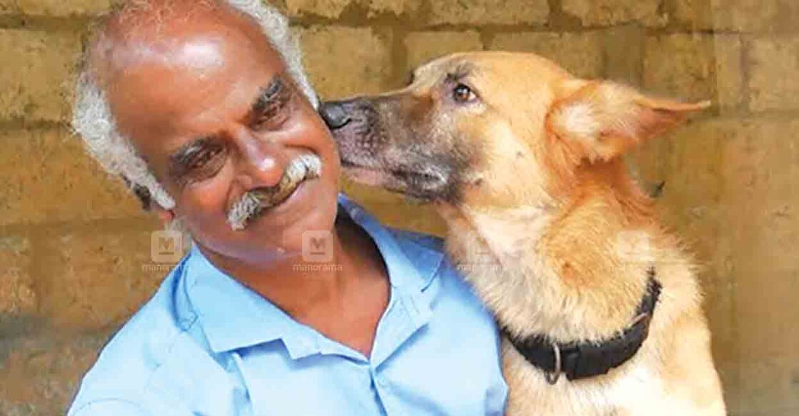 kollamdog-file-pic kollamdog-file-pic