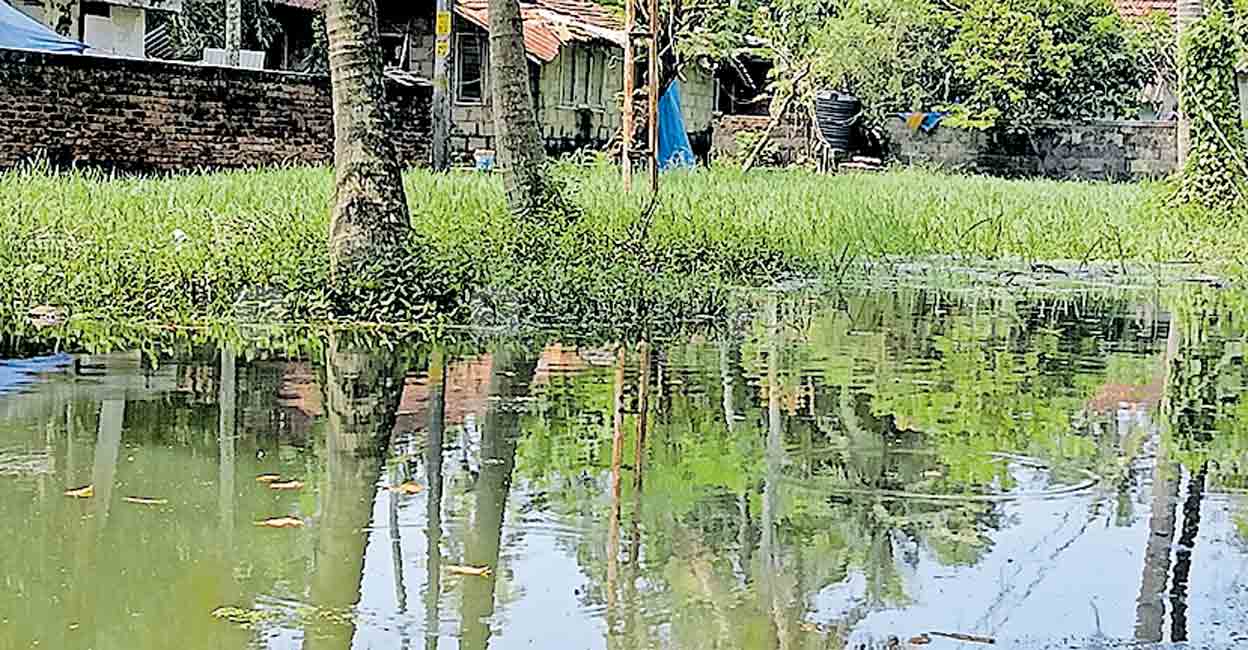 മഴ പെയ്താൽ വെള്ളപ്പൊക്കം; ദുസ്സഹമായി ജനജീവിതം
