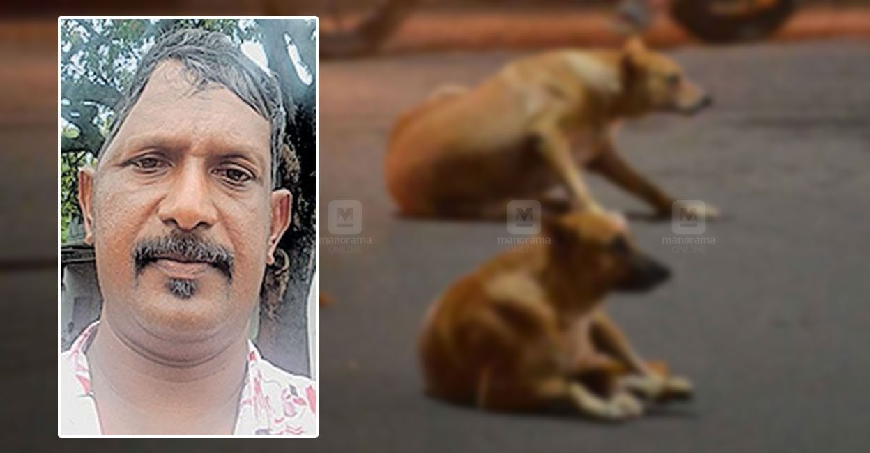 ‘തലയോട്ടിയുടെ ഒരുഭാഗം വയറ്റിനുള്ളിൽ’ Stray Dog Rescue Kerala Stray