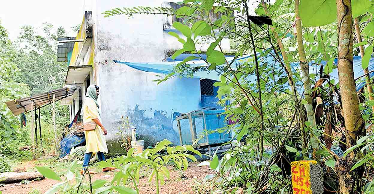 ഗ്രീൻഫീൽഡ് ദേശീയപാത മുഴുവൻ ചെലവും കേന്ദ്രം വഹിക്കും, തുടർ നടപടി