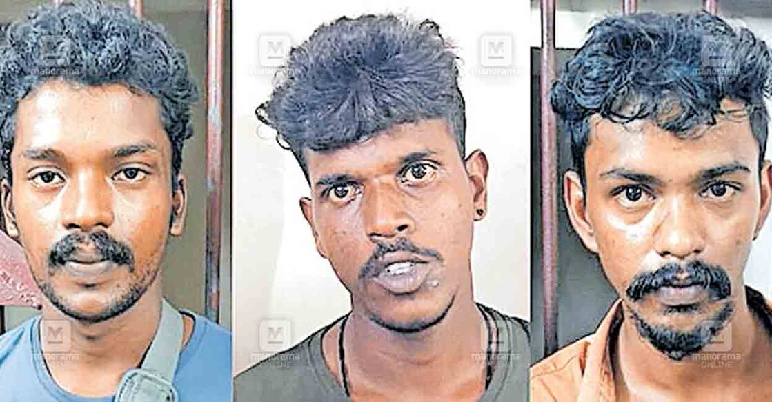 police-arrested കുതിരയെ ആക്രമിച്ച കേസിൽ അറസ്റ്റിലായ ബിവിൻ, പ്രസീത്, സെയ്ദലി എന്നിവർ.