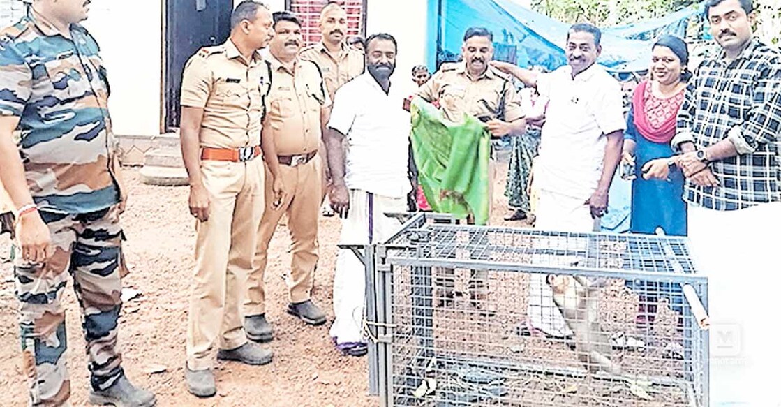 ശൂരനാട് വടക്ക് കുന്നിരാടത്ത് കൂട്ടിൽ വീണ കുരങ്ങനെ വനം വകുപ്പ് ഏറ്റെടുക്കുന്നു.  