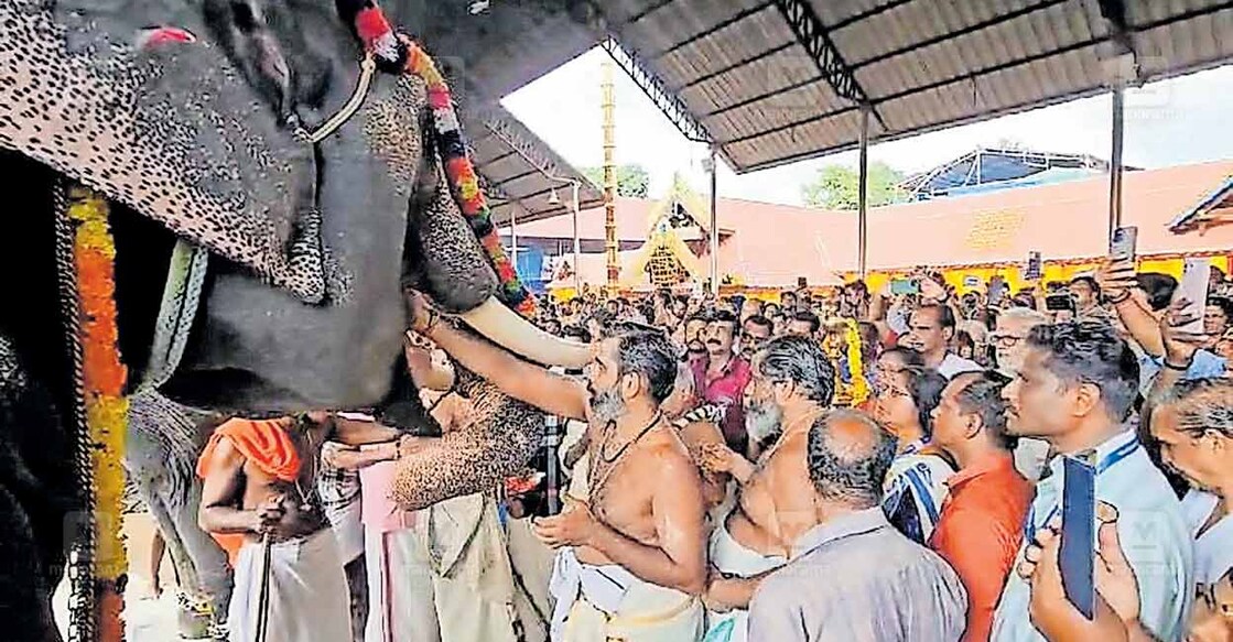 കൊട്ടാരക്കര ഗണപതി ക്ഷേത്രത്തിൽ  വിനായക ചതുർഥി ആഘോഷങ്ങളുടെ ഭാഗമായി നടന്ന ആനയൂട്ട്.