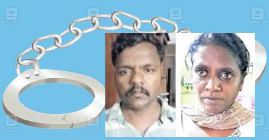 വിനീത്, വിജി.