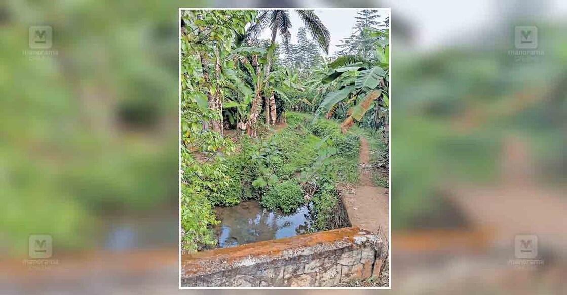 ശുചീകരണം അനിവാര്യമായ മൈലം പള്ളിക്കൽ പടിഞ്ഞാറ് ഭാഗത്തെ തോട്.