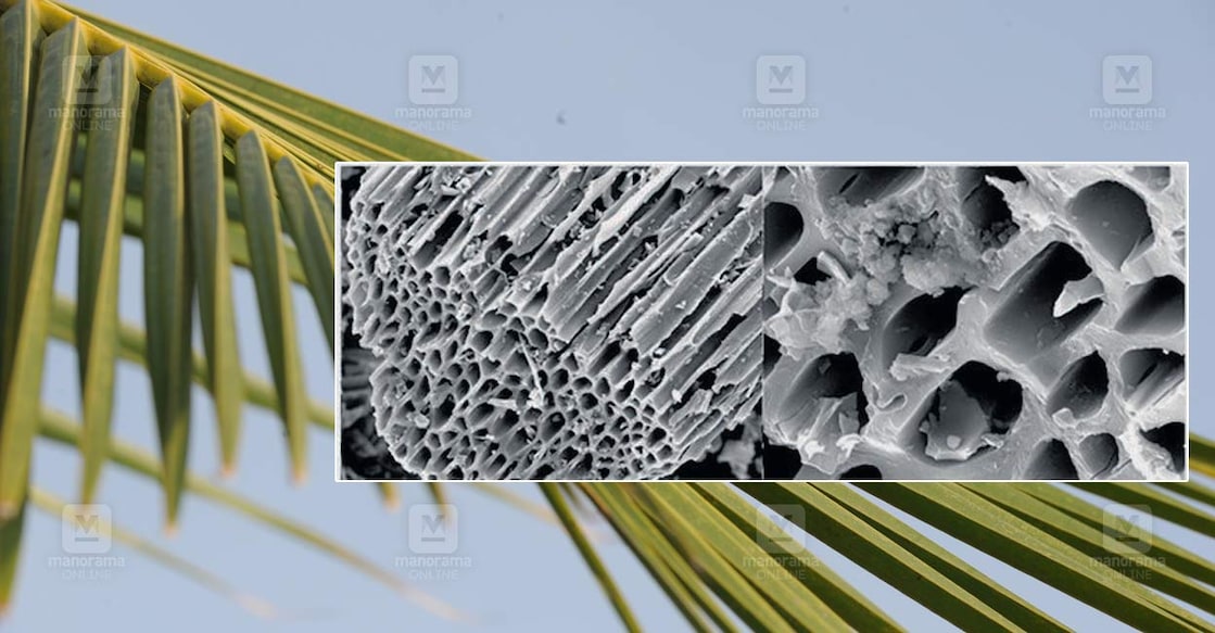 klm-amrita-research-activated-carbon-breakthrough klm-amrita-research-activated-carbon-breakthrough