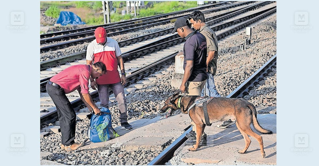 kollam-railway-station-security-check അതിർത്തിയിലെ സംഘർഷത്തിന്റെ പശ്ചാത്തലത്തിൽ സുരക്ഷാ മുൻകരുതലിന്റെ ഭാഗമായി റെയിൽവേ പൊലീസ്, ബോംബ്, ഡോഗ് സ്ക്വാഡുകൾ സംയുക്തമായി കൊല്ലം റെയിൽവേ സ്റ്റേഷനിൽ പരിശോധന നടത്തിയപ്പോൾ. ചിത്രം: മനോരമ