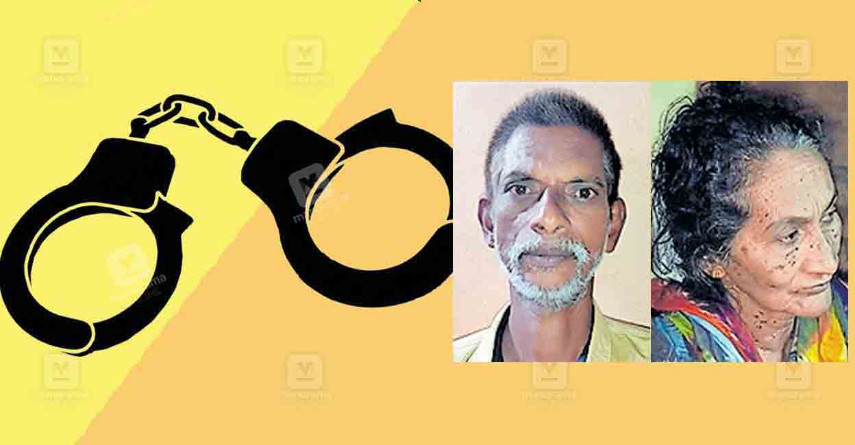 കഞ്ചാവ് കൈവശം വച്ചതിനു വനിത ഉൾപ്പെടെ 2 പേർ പിടിയിൽ | Ganja arrest ...