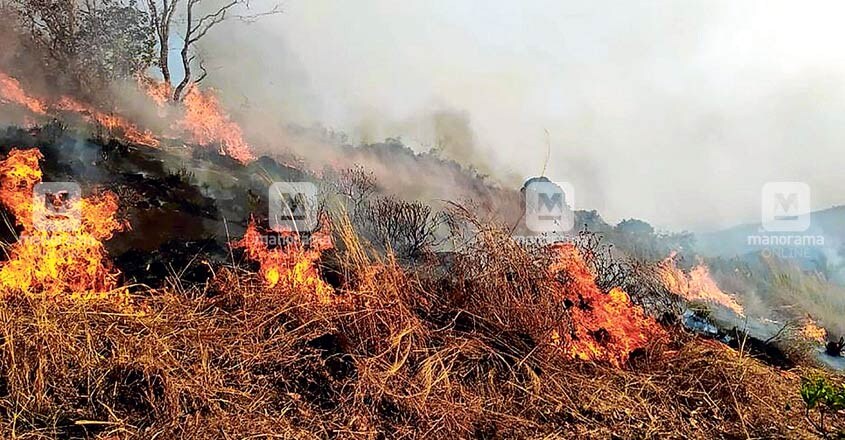 കയ്യൂർ മലയുടെ അടിവാരത്ത് ചൂരമല ഭാഗത്തെ തീ പിടിത്തം. കയ്യൂർ മലയുടെ അടിവാരത്ത് ചൂരമല ഭാഗത്തെ തീ പിടിത്തം.
