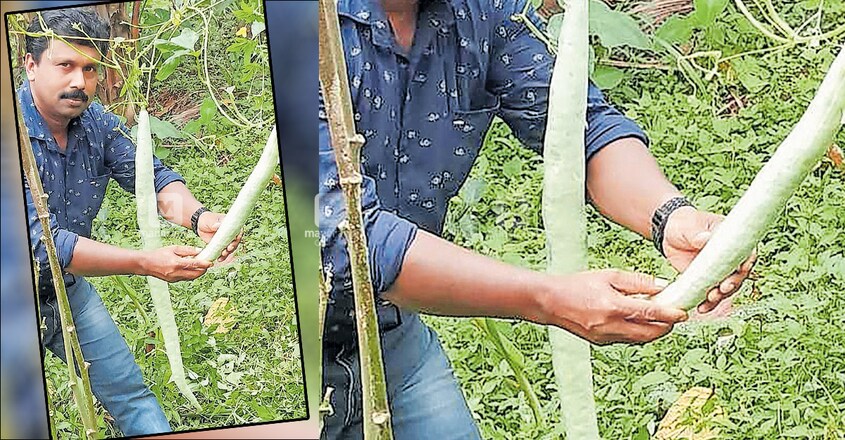 അനിൽ കുമാർ അനിൽ കുമാർ