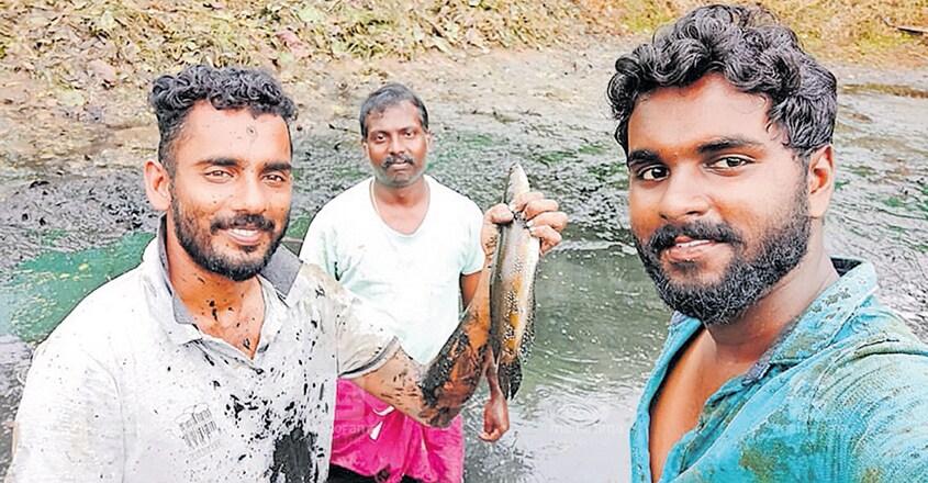 രേഷ് കുമാർ, പ്രവീൺ പുതുപ്പറമ്പിൽ, വിഷ്ണു പറാൽ എന്നിവർ മത്സ്യക്കുളത്തിനു സമീപം. രേഷ് കുമാർ, പ്രവീൺ പുതുപ്പറമ്പിൽ, വിഷ്ണു പറാൽ എന്നിവർ മത്സ്യക്കുളത്തിനു സമീപം.