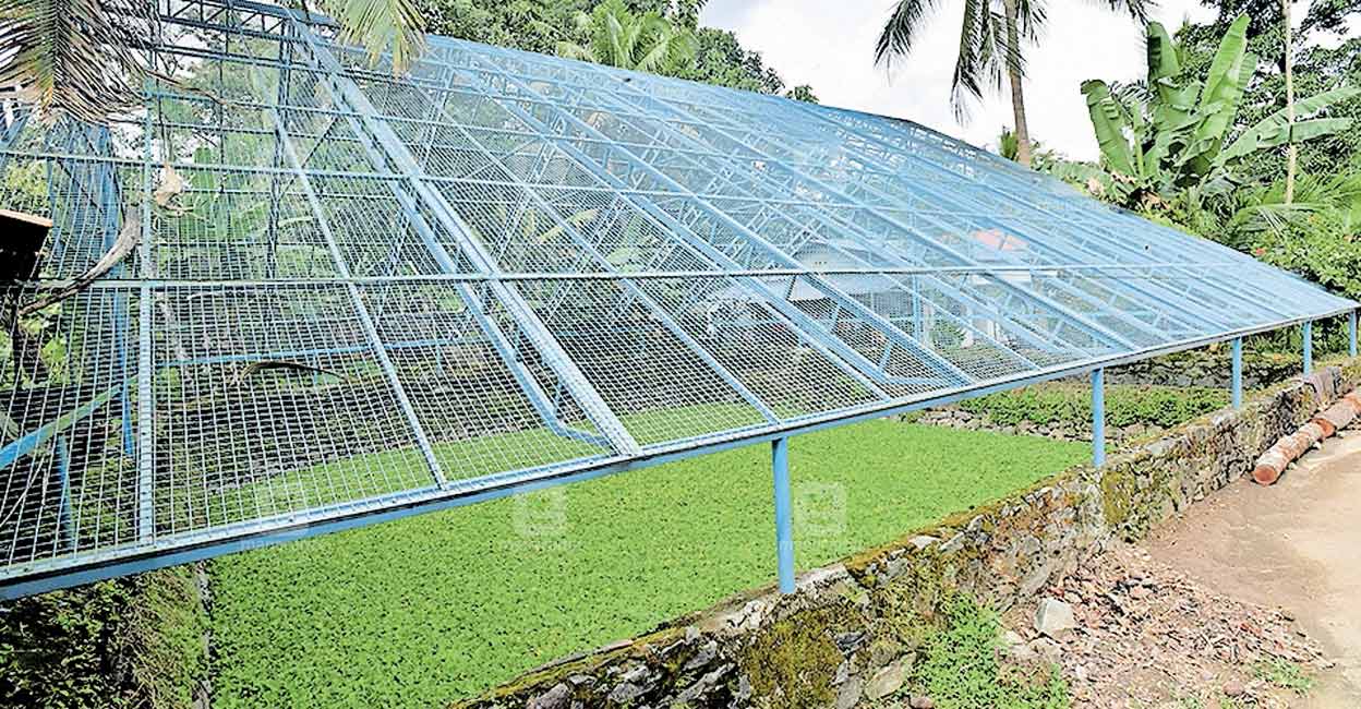 ചാത്തക്കുളം പുനരുദ്ധാരണം പാതിവഴിയിൽ നിലച്ചു Kottayam News കോട്ടയം