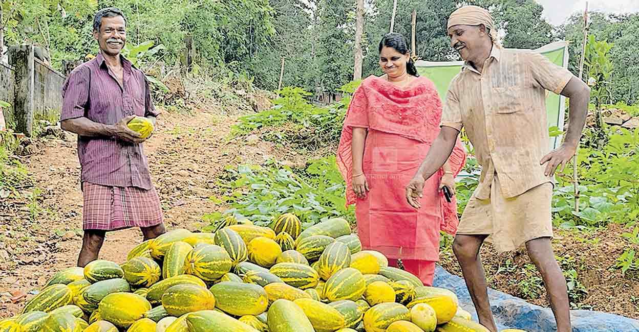 കോൺഗ്രസുകാരൻ മണ്ണൊരുക്കും; കമ്യൂണിസ്റ്റുകാരൻ വിത്തെറിയും (രാജുവും