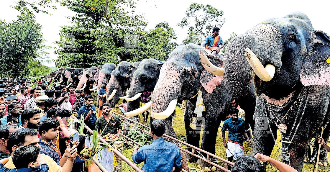 kottayam-ithithanamgajamela kottayam-ithithanamgajamela