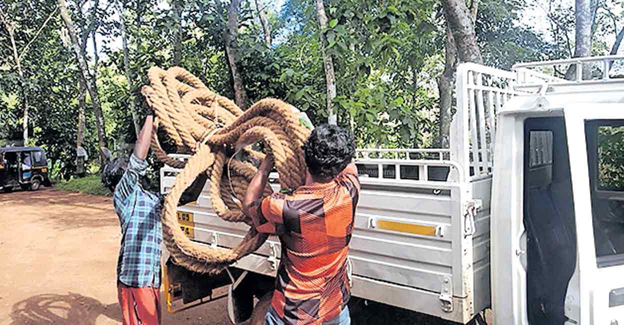 വടം ഓട്ടത്തിലാണ്!; 500 രൂപയാണു വാടക, ഓണസീസണിൽ കൊണ്ടുപോയത് 42 തവണ ...