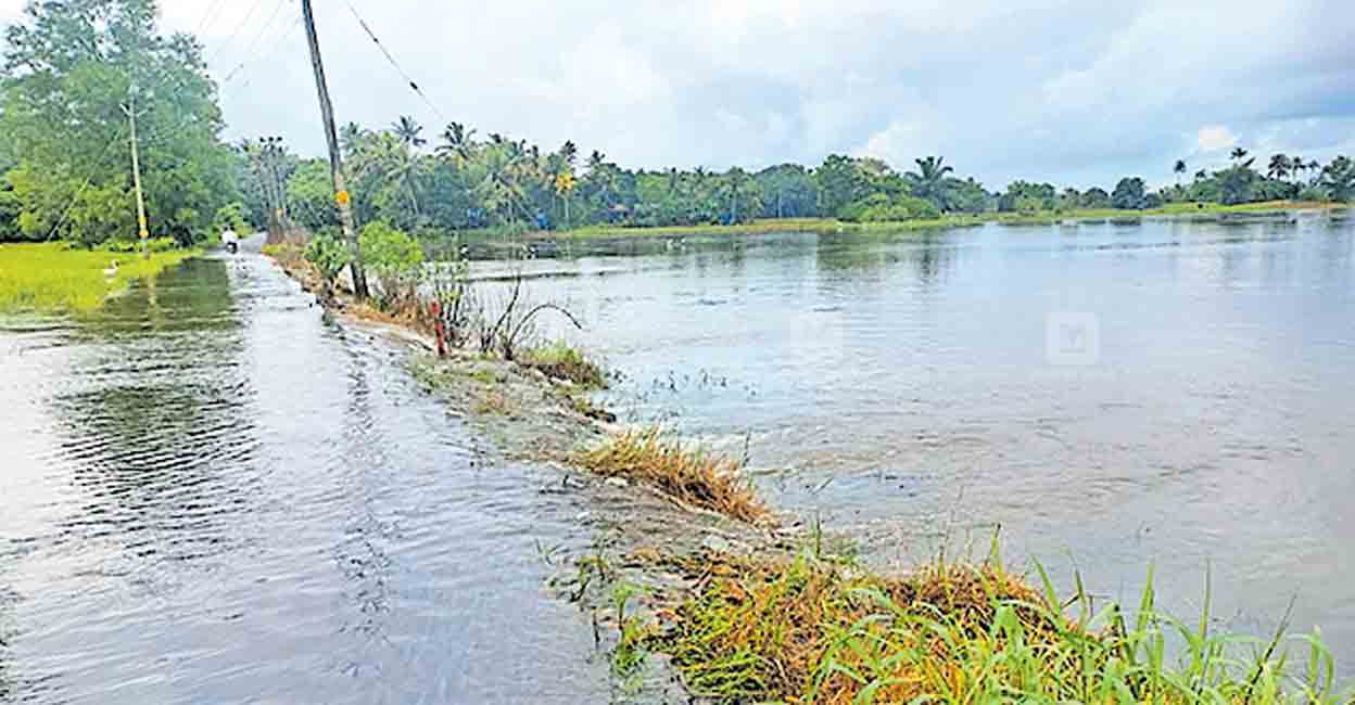 വെള്ളമിറങ്ങാതെ പടിഞ്ഞാറൻ മേഖലയിലെ വീടുകൾ