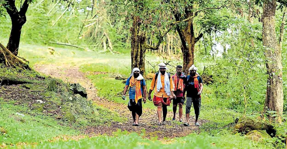 പരമ്പരാഗത കാനനപാതയിലൂടെ ശബരിമലയിലേക്കു നടന്നുപോകുന്ന തീർഥാടകർ. മമ്പാടിയിൽ നിന്നുള്ള ദൃശ്യം. 
							    ചിത്രം: ജിൻസ് മൈക്കിൾ∙മനോരമ  