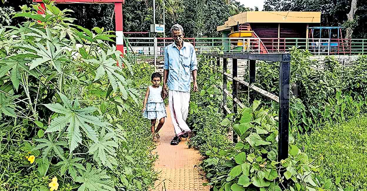 ചിറക്കുളം പൂങ്കാവനമായില്ല; പരിസരം വനമായി