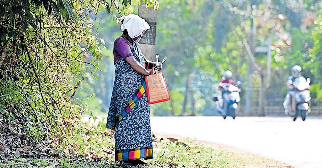 kottayam-lottery-agent പൊൻകുന്നം– പാലാ റോഡിൽ കൂരാലിക്കടുത്ത് ലോട്ടറി വിൽക്കുന്ന സ്ത്രീ. കനത്ത വെയിലിൽ നിന്നുള്ള രക്ഷയ്ക്ക് റോഡരികിലുള്ള കുറ്റിച്ചെടിത്തണലാണ് ഇവർക്കു രക്ഷ.