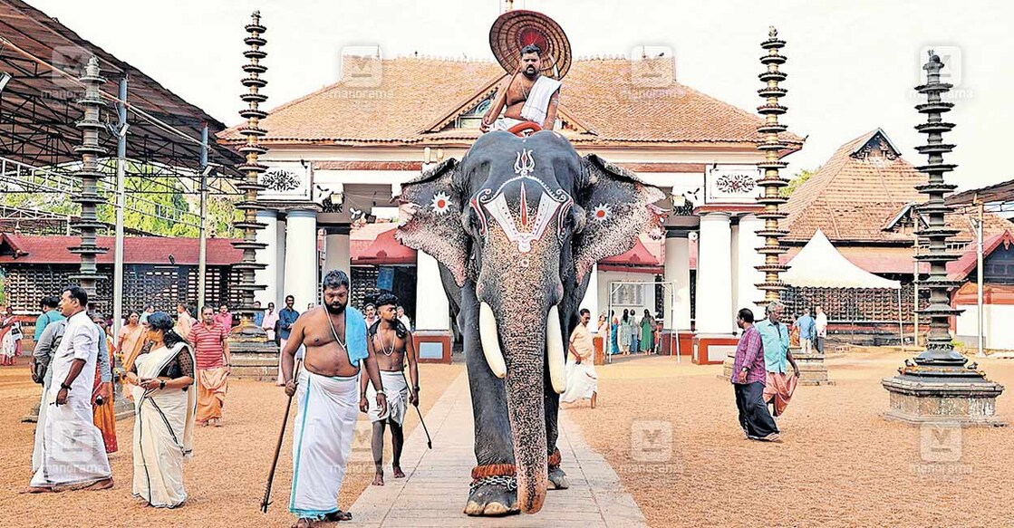 വൈക്കത്തഷ്ടമി ഉത്സവത്തിന് മുന്നോടിയായുള്ള കൊടിയേറ്റ് അറിയിപ്പിനായി ചമയങ്ങളില്ലാത്ത ആനപ്പുറത്ത് അവകാശിയായ കിഴക്കേടത്ത് വിഷ്ണുപ്രസാദ് ക്ഷേത്രത്തിൽ നിന്നും പുറപ്പെടുന്നു  