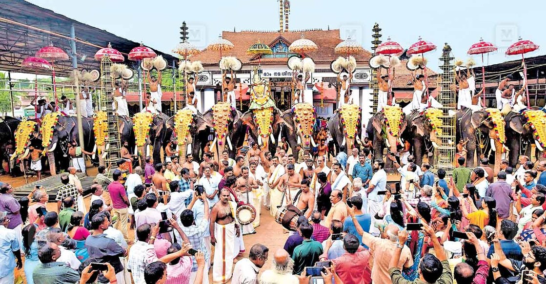 വൈക്കം മഹാദേവക്ഷേത്രത്തിലെ അഷ്ടമി ഉത്സവത്തിന്റെ പത്താം ദിനത്തിൽ രാവിലെ നടന്ന വലിയ ശ്രീബലി എഴുന്നള്ളത്ത്. ചിത്രം: മനോരമ  
