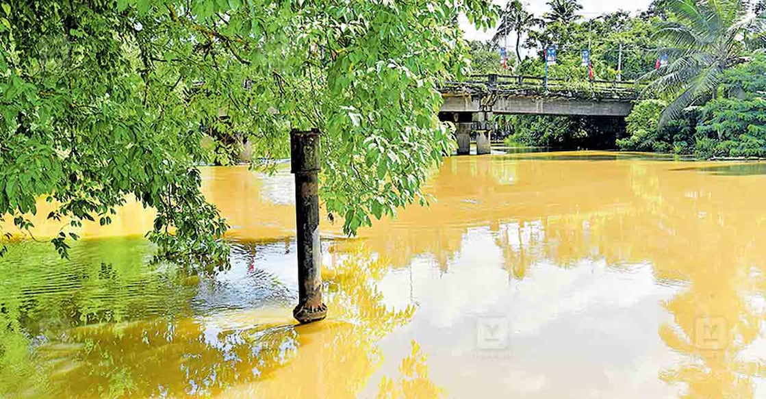 late-producer-gandhimati-balane കോട്ടയം ഇല്ലിക്കലിൽ പഴയ പാലത്തിന്റെ അവശേഷിക്കുന്ന തൂണുകളിലൊന്ന്. ഈ തൂണിലാണ് ‘പഞ്ചവടിപ്പാലം’ സിനിമയ്ക്കായി പാലം പണിതത് (ഫയൽ ചിത്രം).