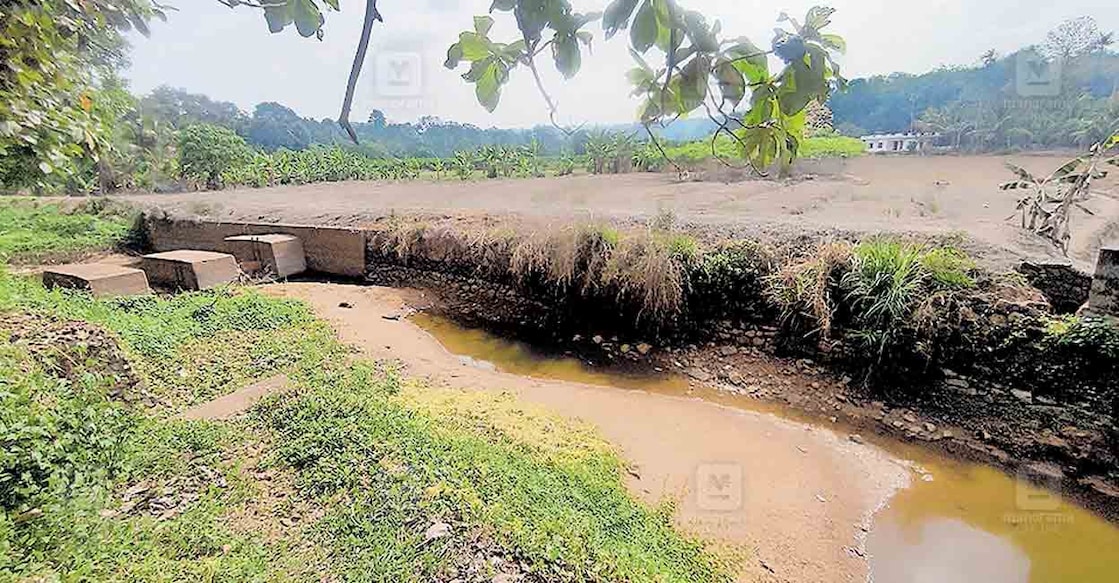 കടുത്ത വേനലിൽ പോലും വെള്ളം ഒഴുകിയിരുന്ന വെളിയന്നൂർ അരീക്കര തോട് ഇപ്പോൾ.