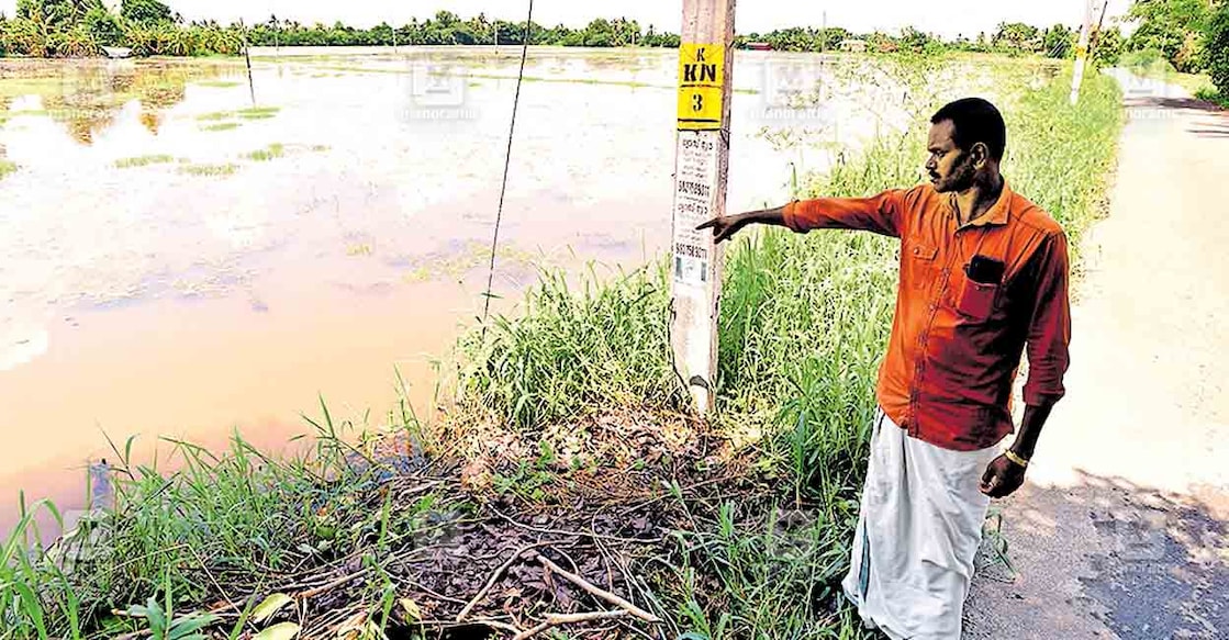 കുമരകം കണ്ണാടിച്ചാലിലിൽ നായ്ക്കളെ പേടിച്ച് അൻസു ചാടിയ പാടത്തിന് അരികെ പിതാവ് സുനിൽ.