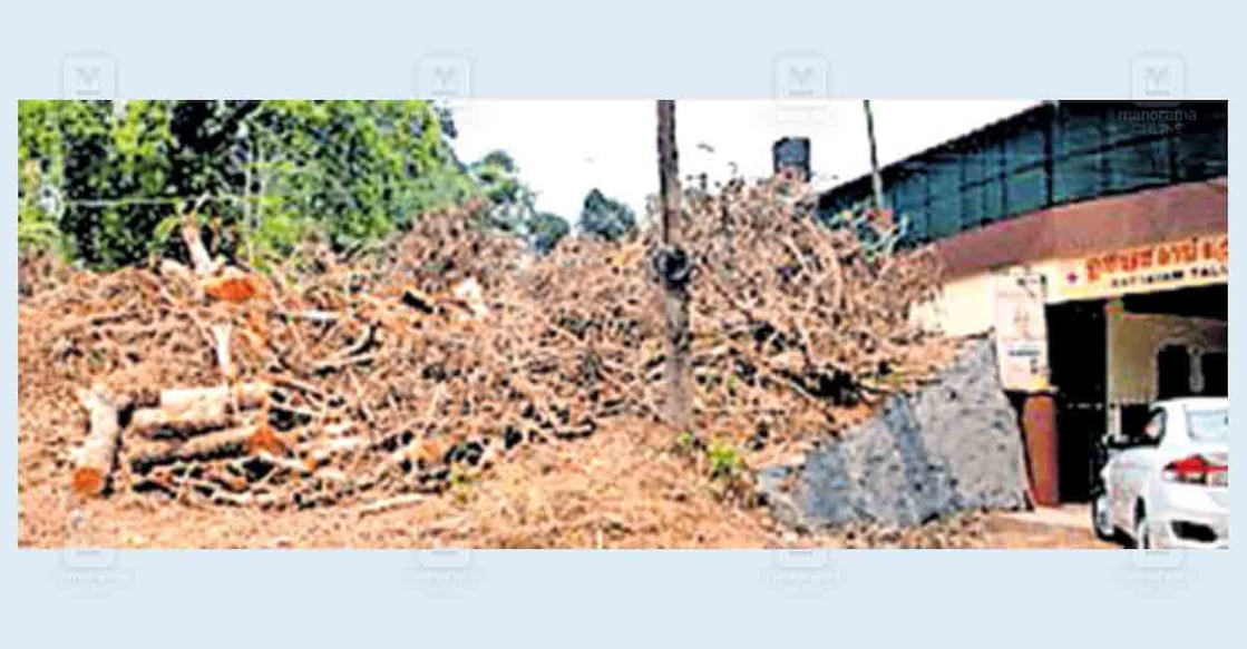 





പഴയ വില്ലേജ് ഓഫിസ് ഇരുന്ന സ്ഥലം. സമീപത്തെ റെഡ്ക്രോസ് സൊസൈറ്റിയുടെ കെട്ടിടത്തിലാണ് വില്ലേജ് ഓഫിസ് ഇപ്പോൾ പ്രവർത്തിക്കുന്നത്.  