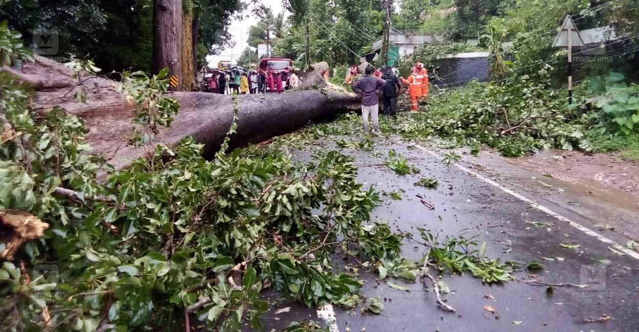 പാലായിലും ചമ്പക്കരയിലും നാശം വിതച്ച് കനത്ത മഴയും കാറ്റും; കോട്ടയത്ത് ...