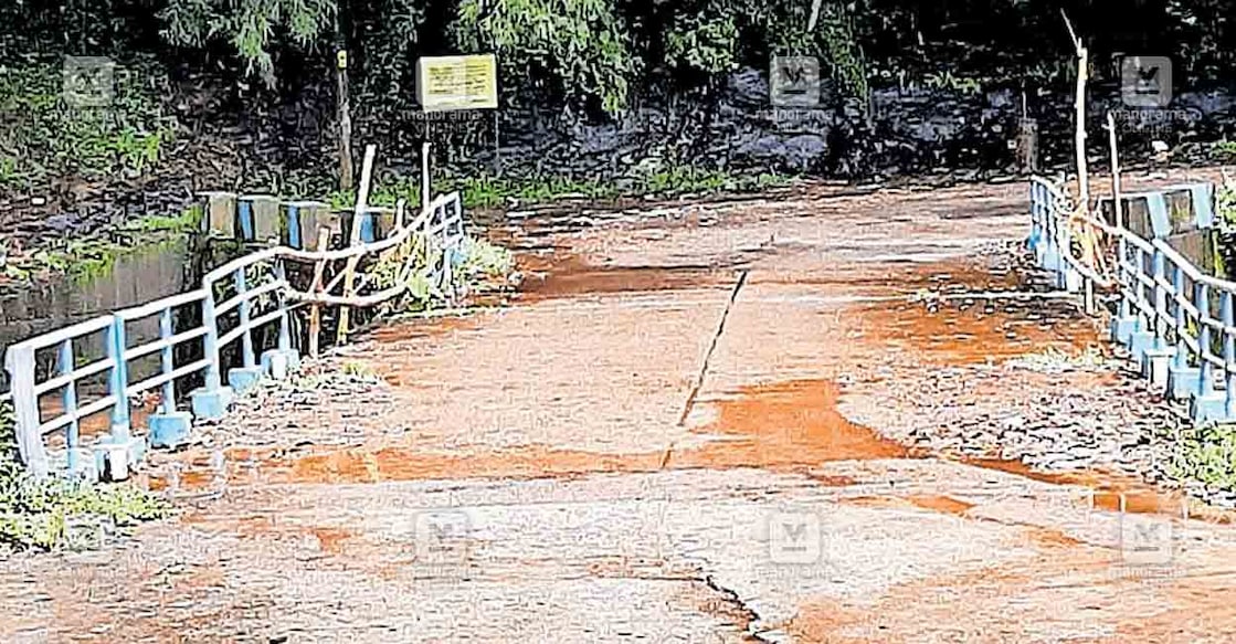 kottayam-bridge-7 എരുമേലി മൂക്കൻപെട്ടി കോസ്വേയിൽ ഇരുമ്പ് സംരക്ഷണ വേലി ഒലിച്ചു പോയ ഭാഗത്ത് ഈറ കൊണ്ടു വേലി സ്ഥാപിച്ച നിലയിൽ.