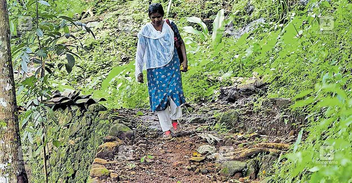 എരുമേലി എരുത്വാപ്പുഴ മലവേടർ നഗറിൽ രോഗിയായ ചെള്ളേത്തുപാറ കേശവനും 14 ആദിവാസി കുടുംബങ്ങളിലെ അംഗങ്ങളും ഉപയോഗിക്കുന്ന വഴി തകർന്നു കാൽനട യാത്ര പോലും  ദുഷ്കരമായ വിധത്തിൽ. 
ചിത്രം : മനോരമ  