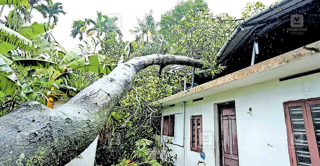 തിങ്കളാഴ്ച വൈകിട്ട് ഉണ്ടായ കാറ്റിലും മഴയിലും കാട്ടിക്കുന്ന് ചാണിയിൽ നസീറിന്റെ വീടിന് മുകളിലേക്ക് മരം വീണു മേൽക്കൂര തകർന്ന നിലയിൽ.
