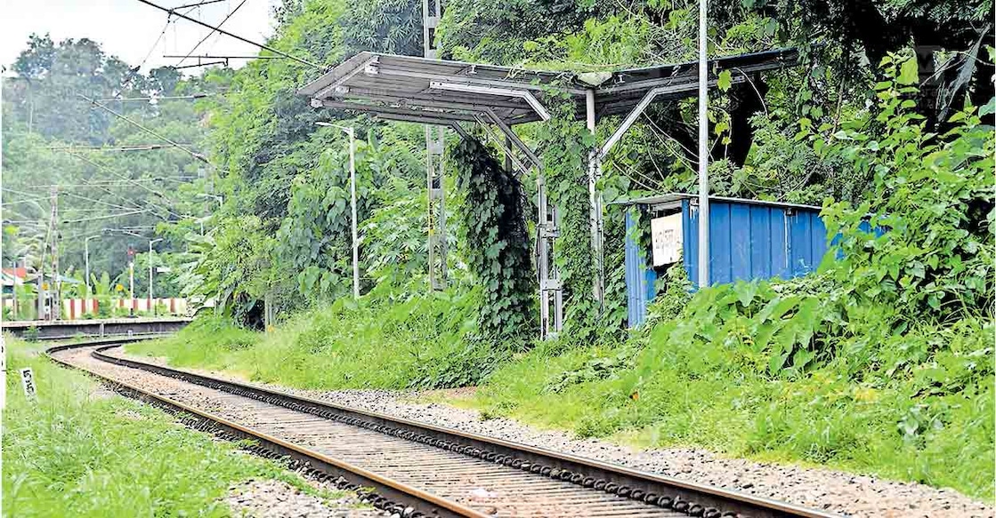 kumaranalloor-rlwy കുമാരനല്ലൂർ റെയിൽവേ സ്റ്റേഷനിൽ പുതിയ പ്ലാറ്റ്ഫോം വരുന്ന സ്ഥലം. എറണാകുളം ഭാഗത്തേക്കുള്ള ലൈനിനോടു ചേർന്നാണ് പുതിയ പ്ലാറ്റ്ഫോം വരുന്നത്.