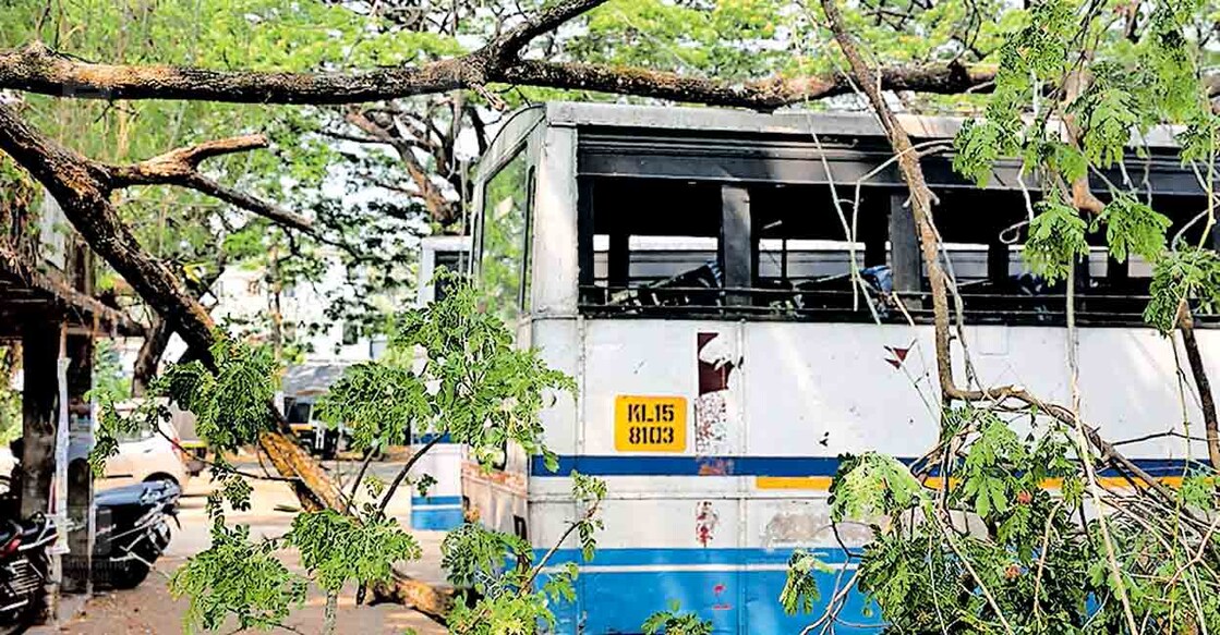 ഏറ്റുമാനൂർ കെഎസ്ആർടിസി സബ് ഡിപ്പോയിൽ നിർത്തിയിട്ടിരുന്ന ബസിനു മുകളിൽ മരത്തിന്റെ ശിഖരം ഒടിഞ്ഞുവീണപ്പോൾ. 
