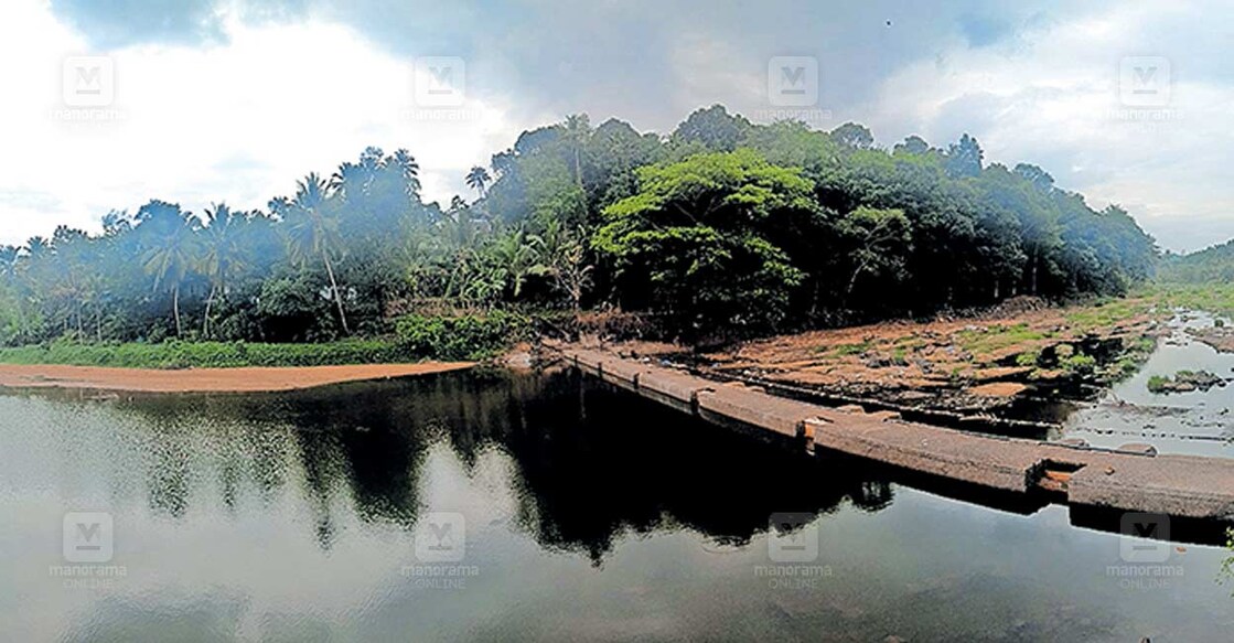 മുണ്ടക്കയം ടൗണിന് സമീപം മണിമലയാറ്റിലെ ചെക്ക് ഡാമിന്റെ കാഴ്ചയാണിത്. ടൗണിലെ ജലവിതരണ പദ്ധതിയുടെ പ്രധാന സ്രോതസ്സായ ഇവിടെ ചെക്ക് ഡാമിന്റെ ഷട്ടർ കഴിഞ്ഞ രാത്രി സാമൂഹിക വിരുദ്ധർ തുറന്നു വിട്ടു. ശേഷിക്കുന്നത് ഇത്രയും വെള്ളം മാത്രം. ചെക്ക് ഡാമിന് താഴെ വെള്ളം ഇടമുറിഞ്ഞു ഒഴുകുന്നത് വരൾച്ചയുടെ നേർ കാഴ്ചയും ആകുന്നു. ഡാമിന് മുകളിൽ ഇന്നലെ രാവിലെ മുതൽ പെയ്യാൻ മടിച്ച് നിൽക്കുന്ന ഈ കാർമേഘങ്ങൾ പോൽ അസ്വസ്ഥമാണ് നാടിന്റെ മനസ്സ്. ഉള്ള വെള്ളം ഇല്ലാതാക്കാൻ സാമൂഹിക വിരുദ്ധരുടെ അഞ്ചാം ശ്രമവും തുടർന്നപ്പോൾ ഇനി പെയ്തൊഴിയാതെ നിൽക്കുന്ന മഴ മേഘങ്ങളിൽ മാത്രമാണ് നാടിന്റെ പ്രതീക്ഷ.  
